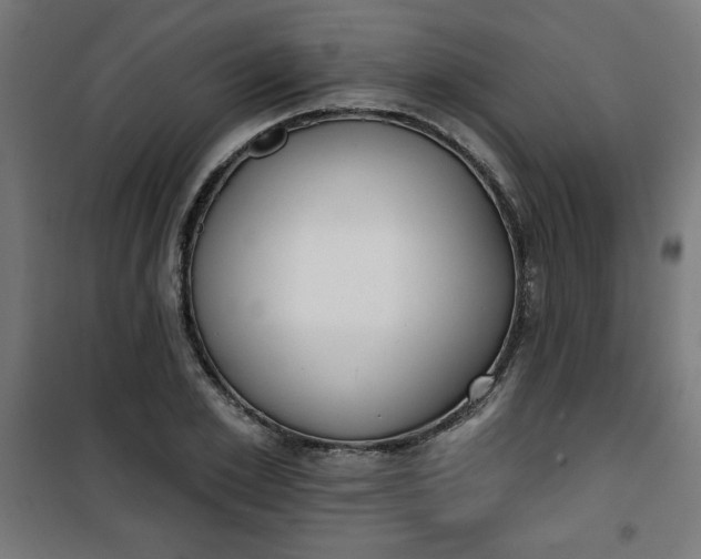 X0000100750981200807031332