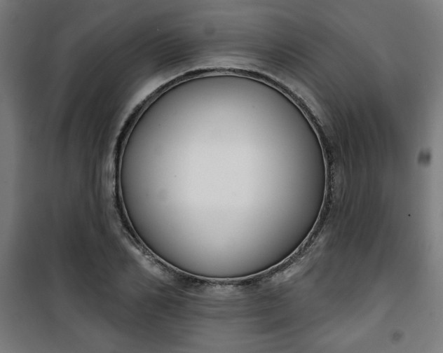 X0000100750982200807031332