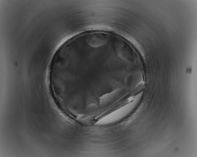 X0000100750983200807031332