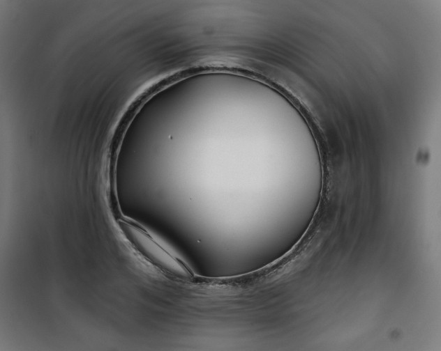 X0000100750984200807031332