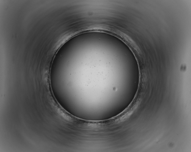 X0000100750985200807031332