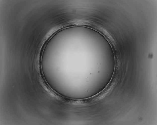 X0000100750986200807031332