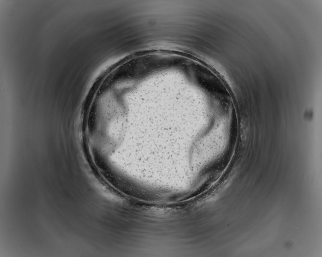 X0000100750987200807031332