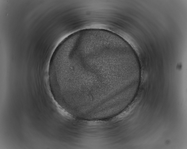 X0000100750988200807031332