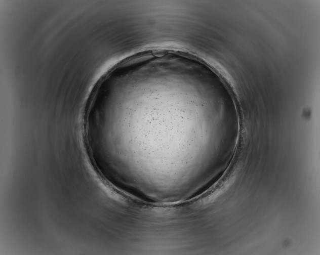 X0000100750989200807031331