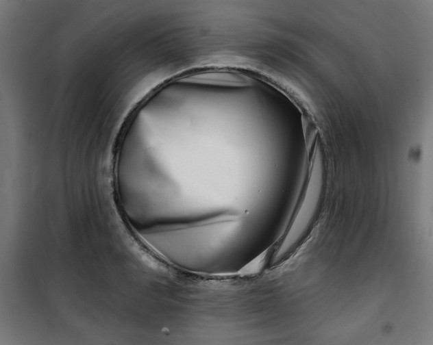 X0000100750990200807031331