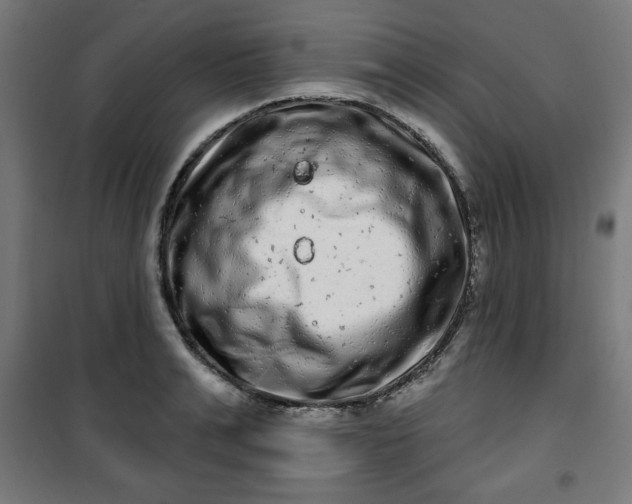 X0000100750991200807031331