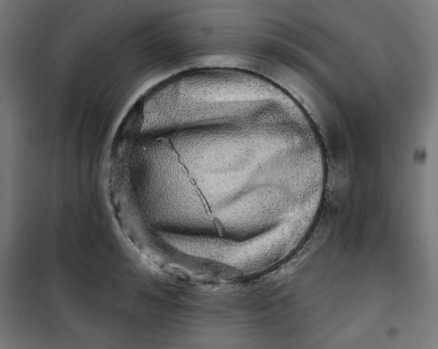 X0000100750992200807031331