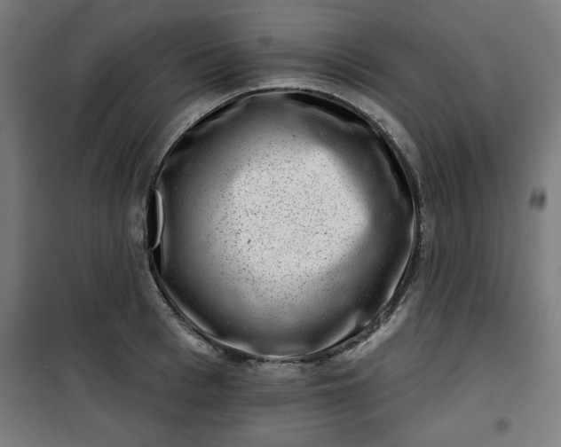 X0000100750993200807031331