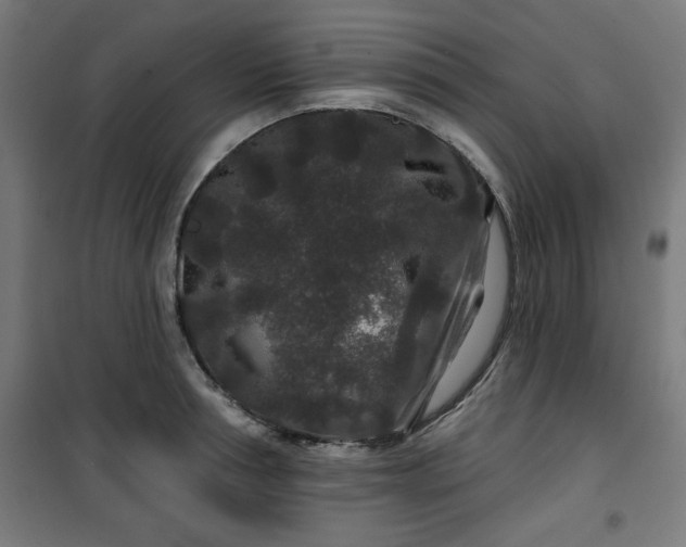 X0000100750994200807031331