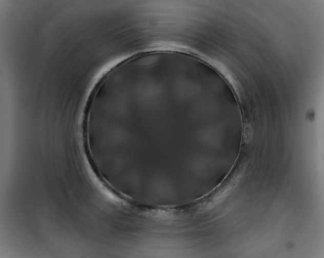 X0000100750995200807031331