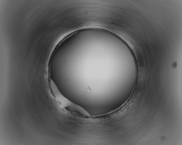 X0000100750996200807031331