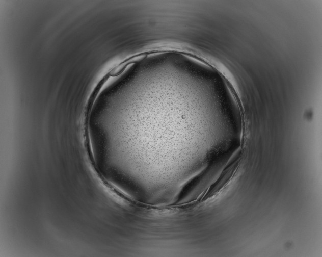 X0000100750997200807031331