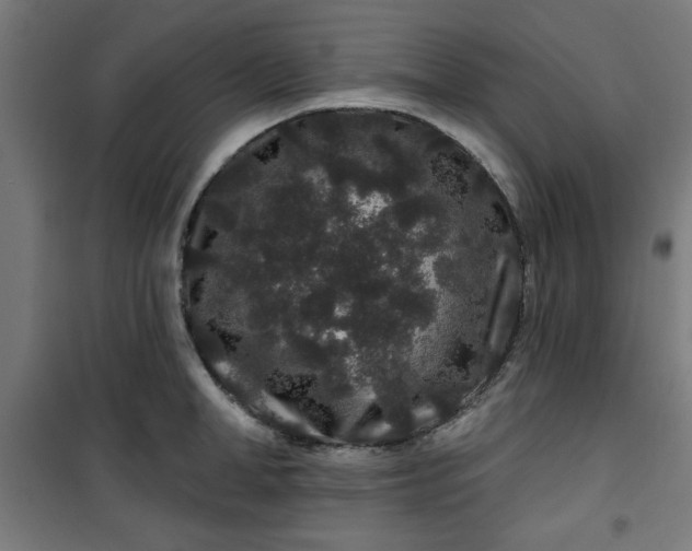 X0000100750998200807031331