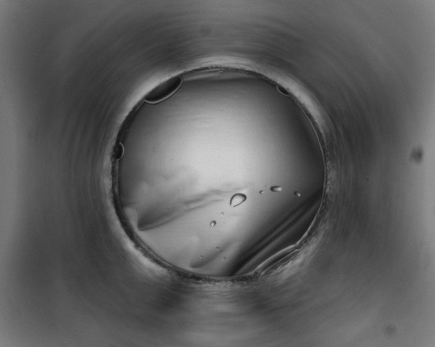 X0000100750999200807031331