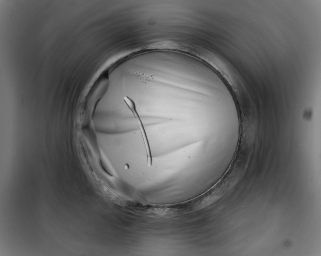 X0000100751000200807031331