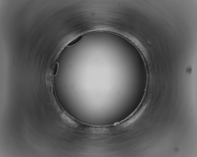 X0000100751001200807031331