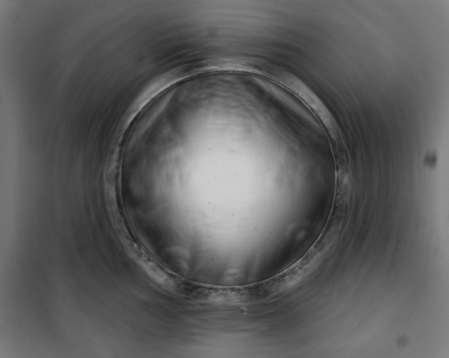 X0000100751002200807031331