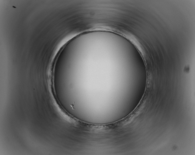 X0000100751003200807031331