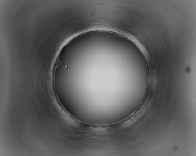 X0000100751004200807031331