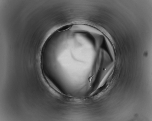 X0000100751005200807031331