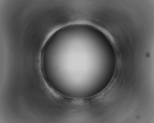 X0000100751006200807031331