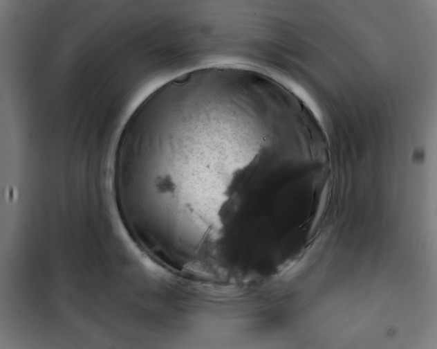 X0000100751007200807031331