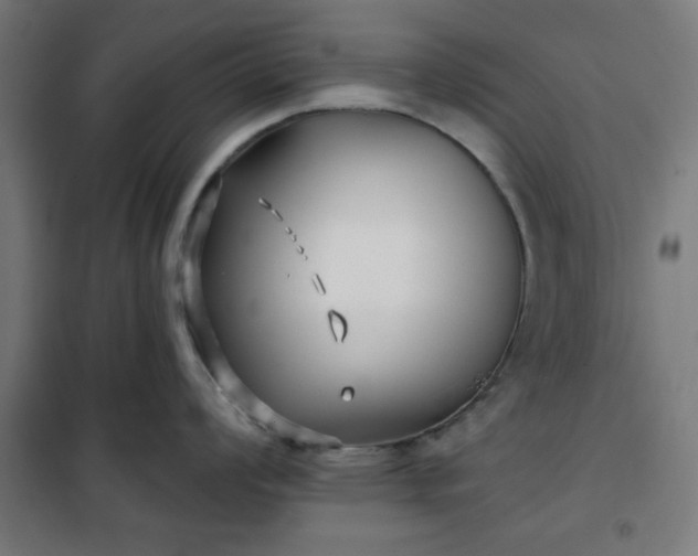 X0000100751008200807031331