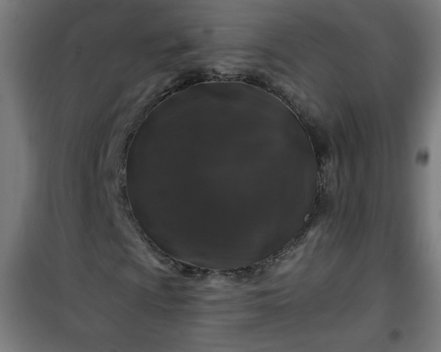 X0000100751009200807031331