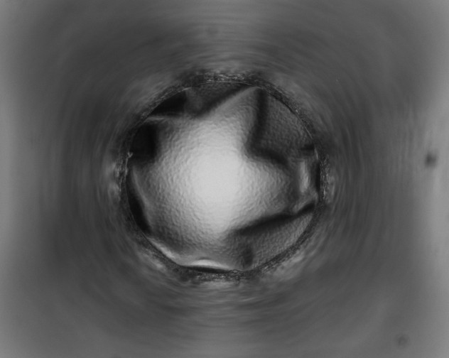 X0000100751010200807031331