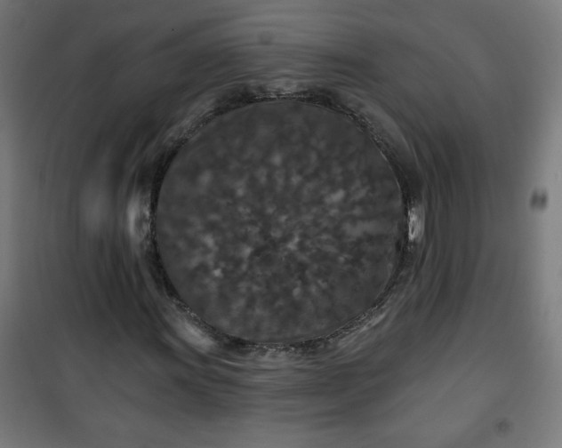 X0000100751011200807031331