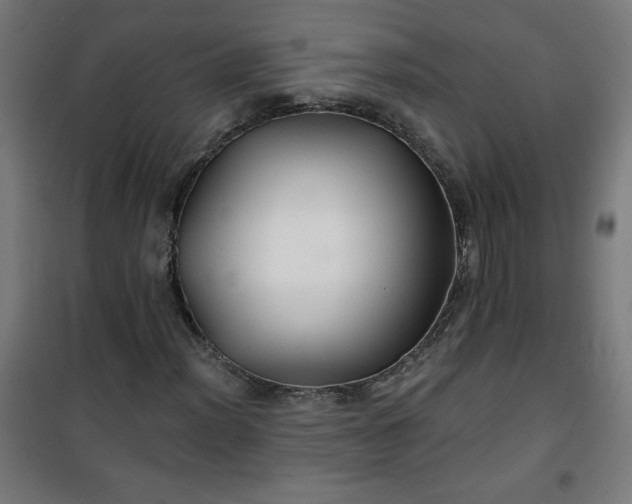 X0000100751012200807031331