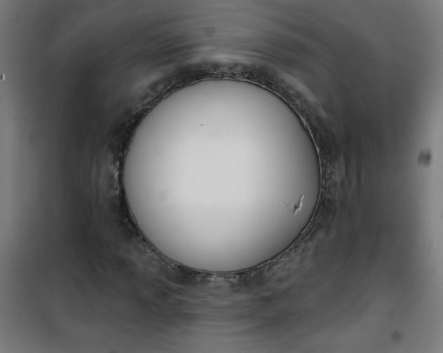 X0000100751013200807031331