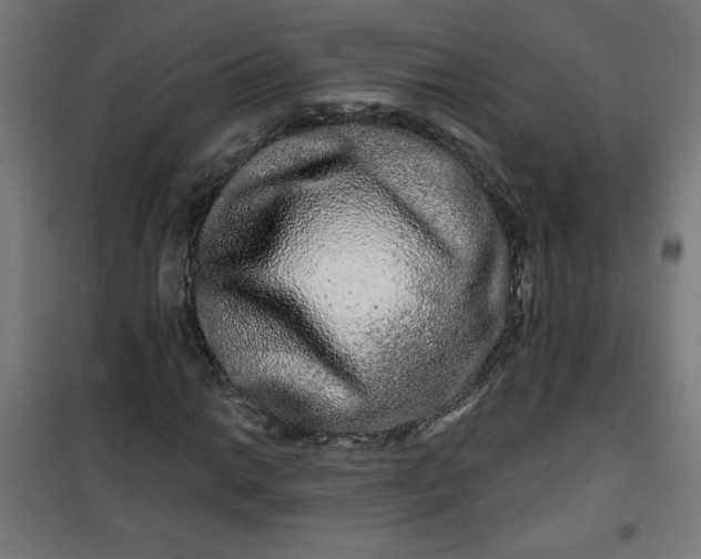 X0000100751014200807031331