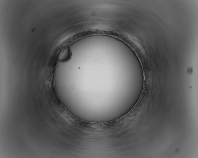 X0000100751015200807031331