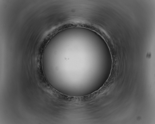 X0000100751016200807031331