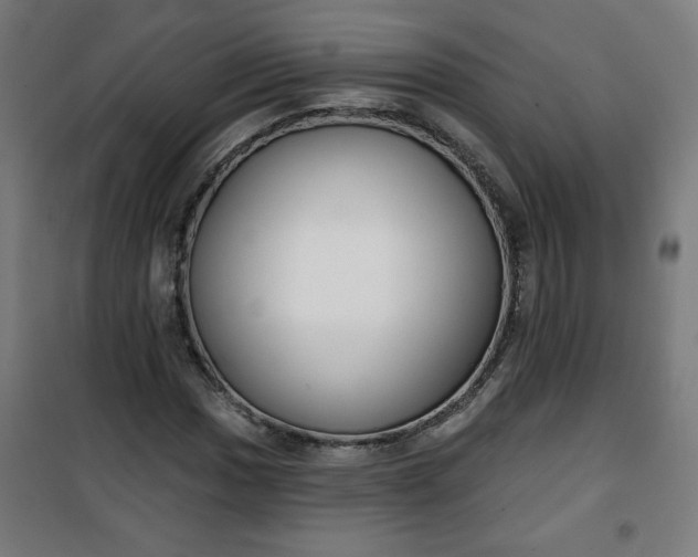 X0000100751017200807031331