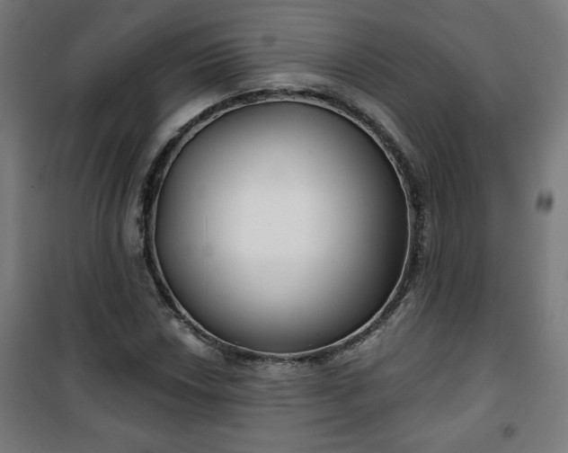 X0000100751018200807031331