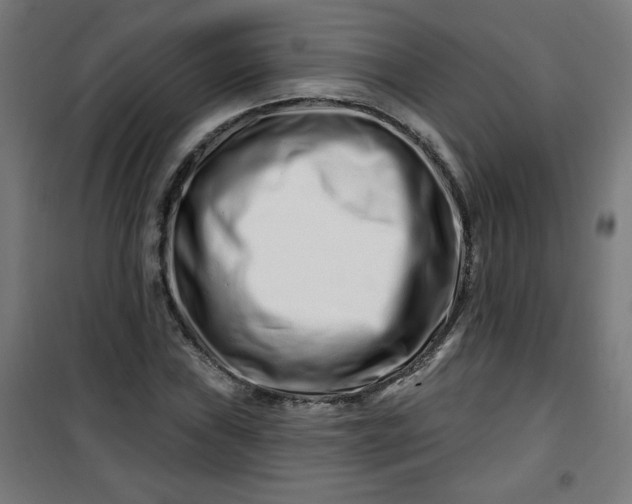 X0000100751019200807031331