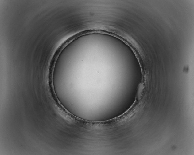 X0000100751020200807031331