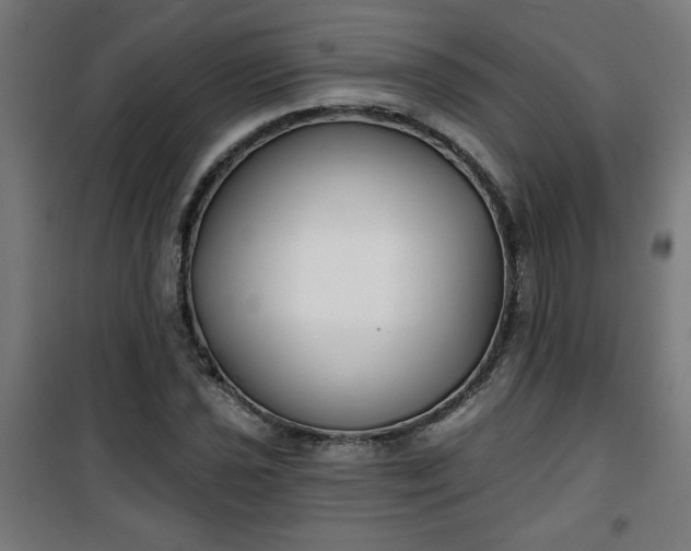 X0000100751021200807031331