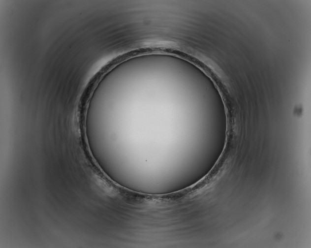 X0000100751022200807031331