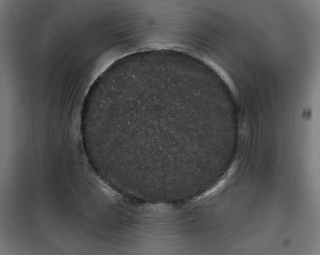 X0000100751023200807031331