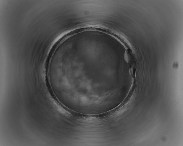 X0000100751024200807031331