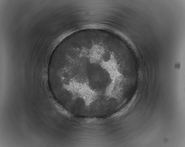 X0000100751025200807031331