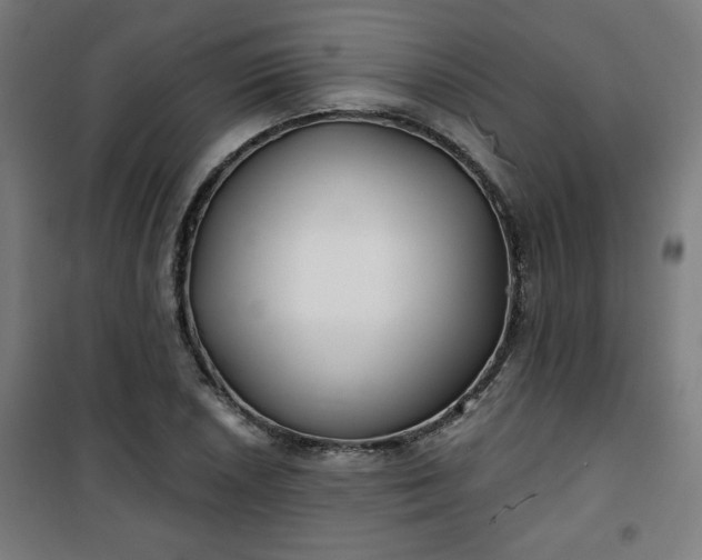 X0000100751026200807031331