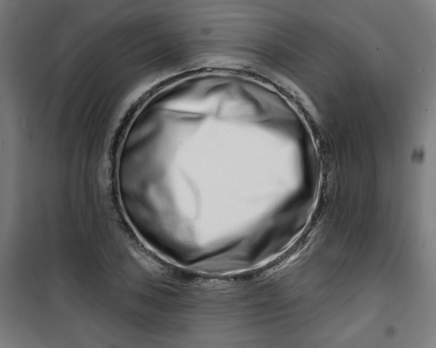 X0000100751027200807031331