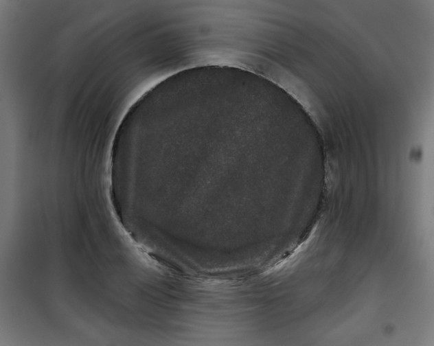 X0000100751028200807031331