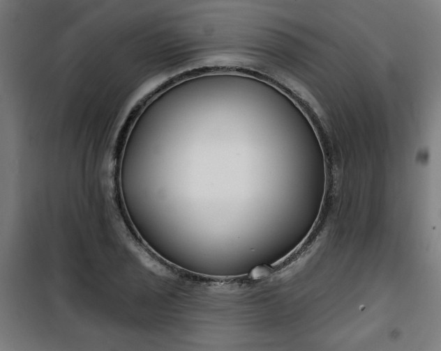 X0000100751029200807031331