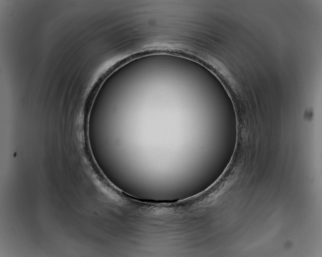 X0000100751030200807031331